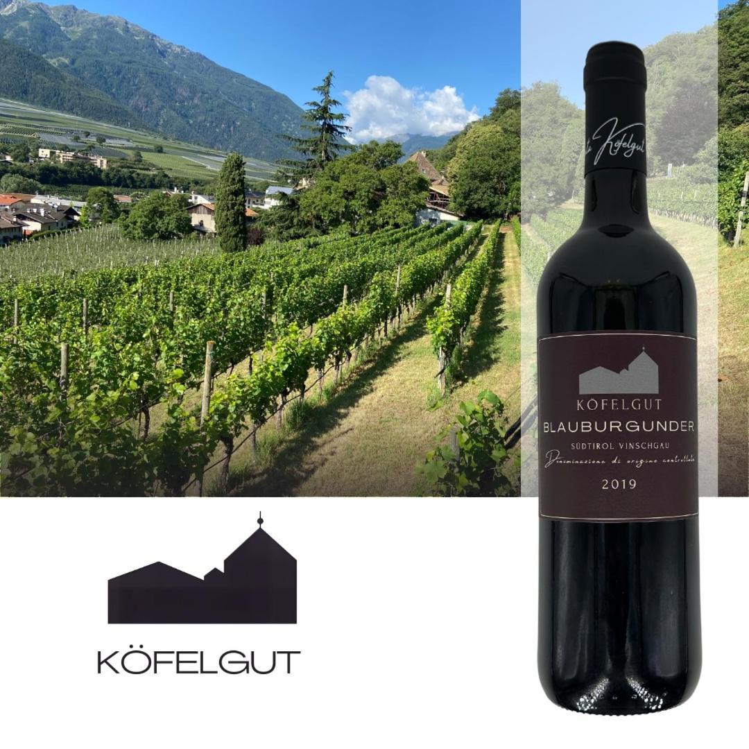 Appartamento Weingut Koefelgut - Turris Vini Castelbello Esterno foto