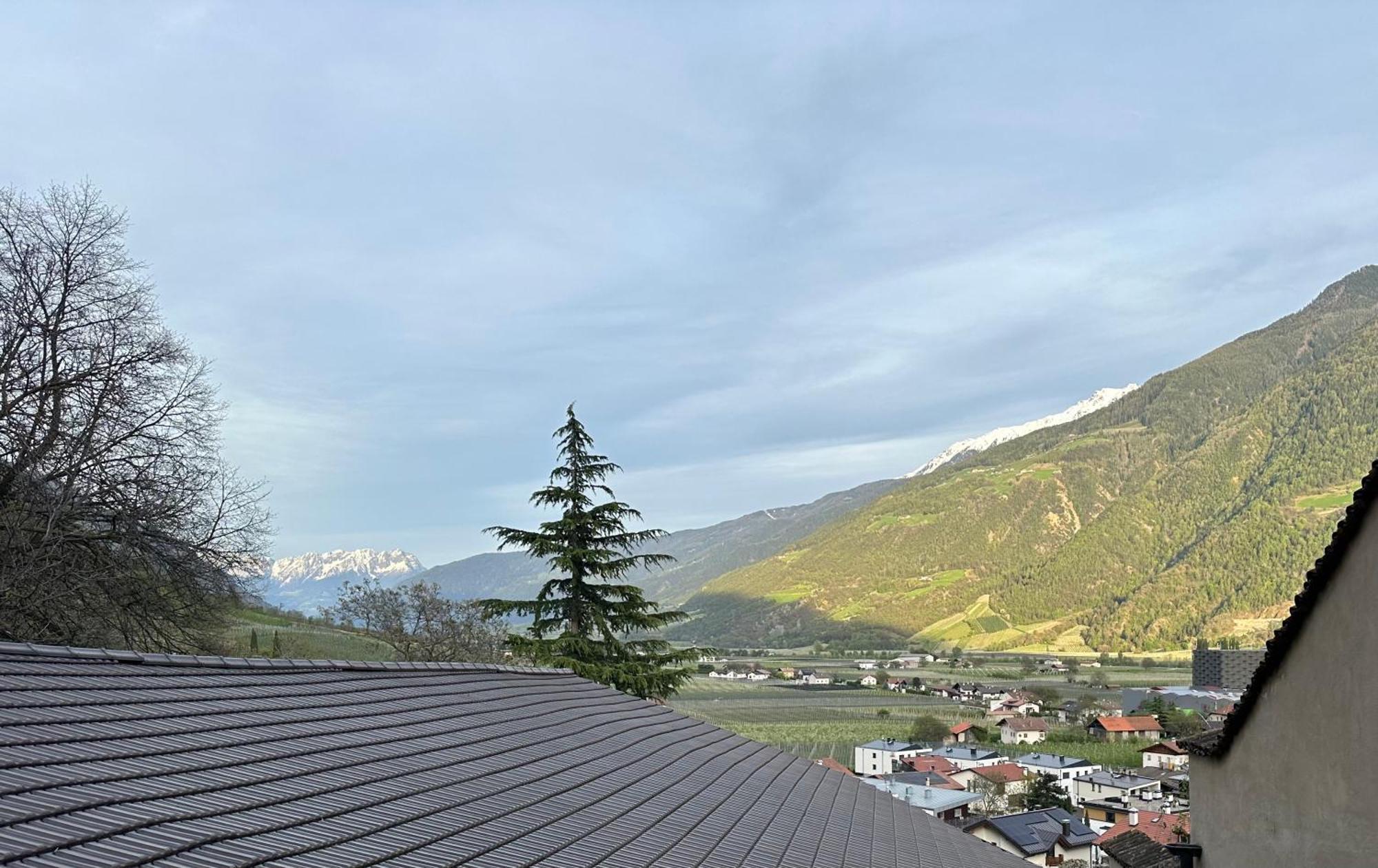 Appartamento Weingut Koefelgut - Turris Vini Castelbello Esterno foto